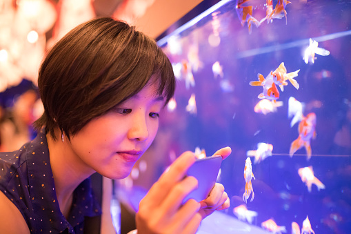 Beautiful Asian woman taking pictures of goldfish in aquarium