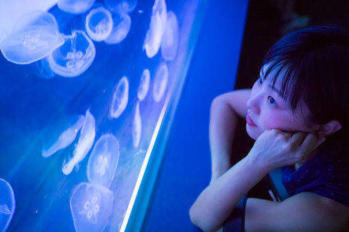 Asian woman looking up at jellyfish in aquarium