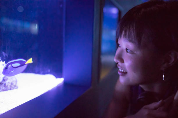 istock Asian woman looking at fish in aquarium 831836746