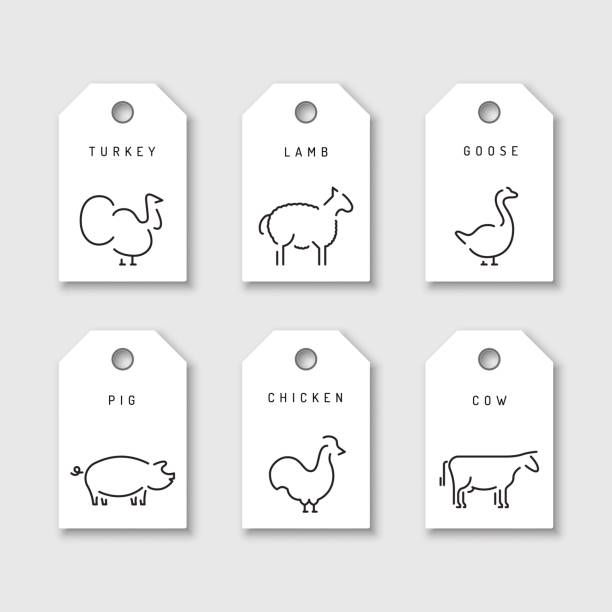 ilustrações, clipart, desenhos animados e ícones de fazenda vetor animais silhuetas estrutura de tópicos - duck animal egg isolated bird