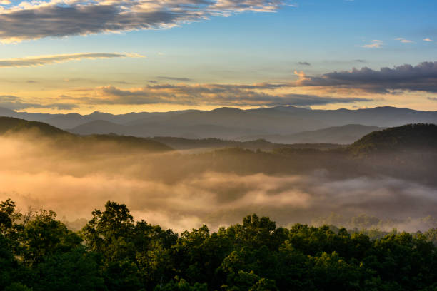 istock Mountain View at Sunrise with Fog in Valley 831843306