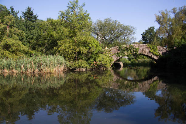 istock Gapstow bridge with blue sky and plants in summer 831853612