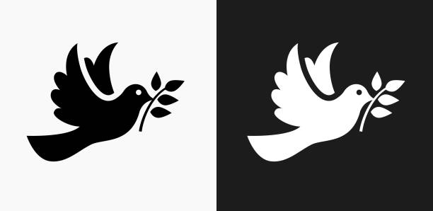 Dove Icon on Black and White Vector Backgrounds Dove Icon on Black and White Vector Backgrounds. This vector illustration includes two variations of the icon one in black on a light background on the left and another version in white on a dark background positioned on the right. The vector icon is simple yet elegant and can be used in a variety of ways including website or mobile application icon. This royalty free image is 100% vector based and all design elements can be scaled to any size. peace symbol clip art stock illustrations