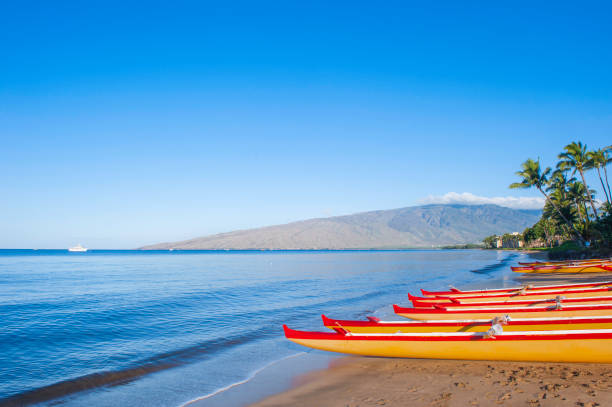 maui beach - hana fotografías e imágenes de stock