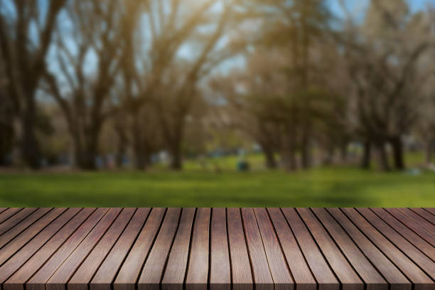 istock empty space of green forest and sunset.can be used for display 831876464