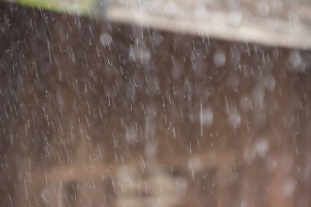 istock rain in rainy season 831877130