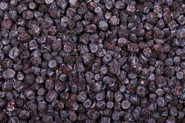 istock Dried blueberries in plate, close up 831884008
