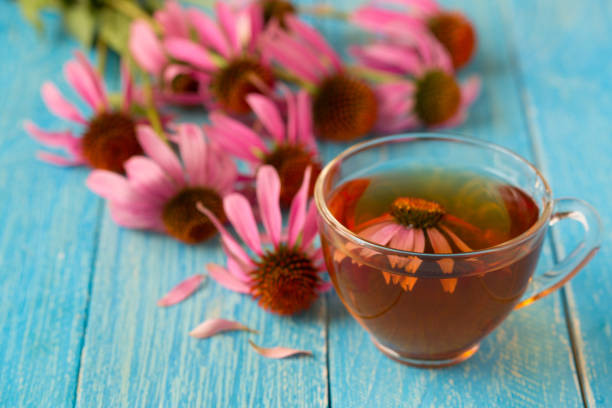 istock Cup of echinacea tea on blue wooden table 831884686