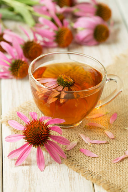 istock Cup of echinacea tea on white wooden table 831884702
