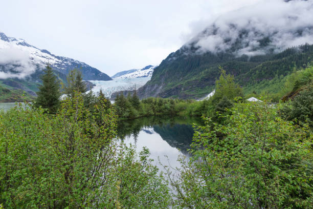 istock Mendenhall Glacier and Nugget Falls 831887472