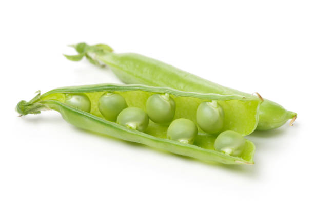 istock Green peas is on the white background 831889212