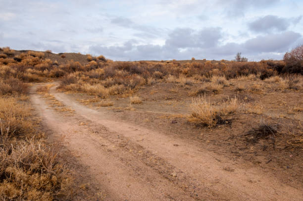 istock near desert.  desert.  steppe. 831893528