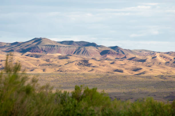 istock steppe summer. Turgai save. Lake in the desert 831893624