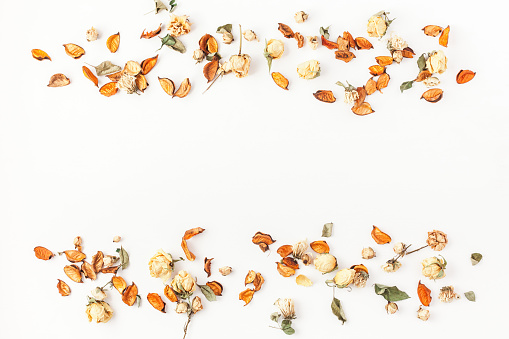 Autumn composition. Border made of autumn dried flowers and leaves on white background. Flat lay, top view, copy space