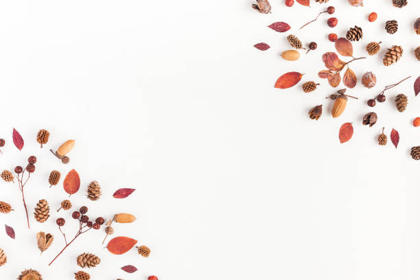Frame made of autumn things. Flat lay, top view
