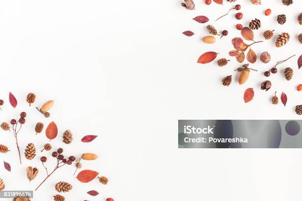 Frame Made Of Autumn Things Flat Lay Top View Stock Photo - Download Image Now - Autumn, Leaf, Above