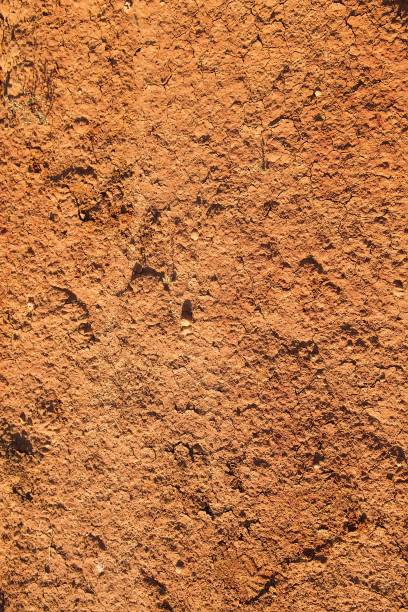 istock Vertical texture of red dry clay 831899906