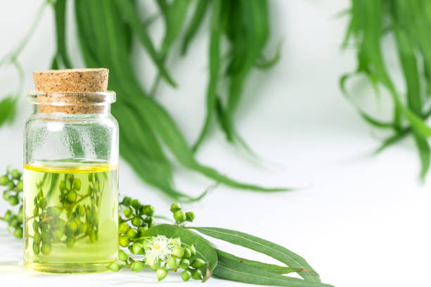 istock Eucalyptus essential oils in glass bottle ,oganic herbal aromatherapy concept 831900130