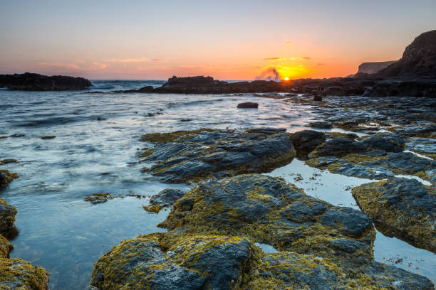 istock Flinders in the Mornington Peninsula 831900462