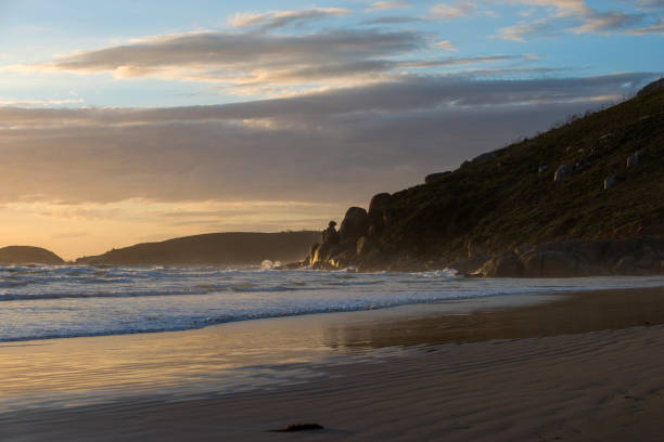 istock Wilsons Promontory National Park 831901274