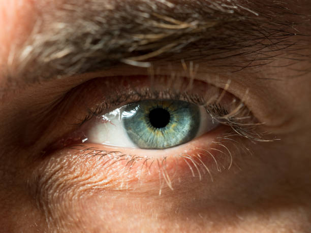 istock Green eye close up shot. 831906292