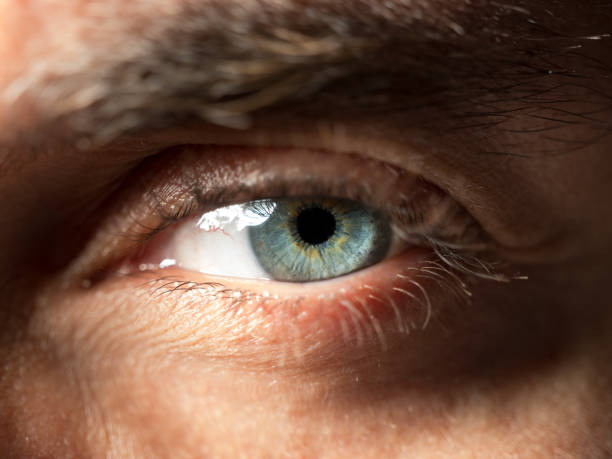 istock Green eye close up shot. 831906594