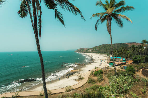 istock Sunshine landscape with long sandy beach and palms forest, tourist chilling in blue waves of ocean and cafes on seaside 831925330