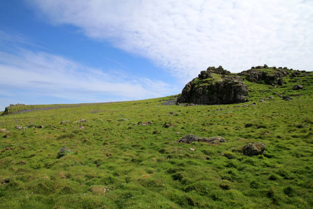 istock Skomer Island 831953910