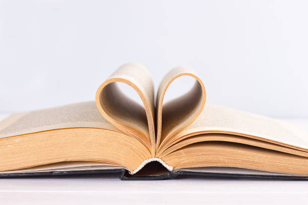 istock Pages of a book curved into a heart 831961216