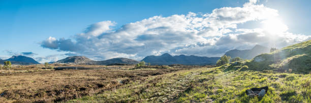 グレンコー横ラノッホ湿原の素晴らしい風景 - highlands region heather grass mountain range ストックフォトと画像