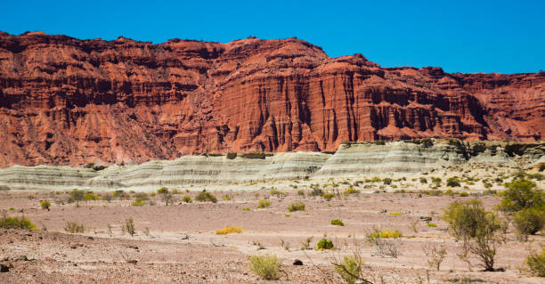 istock Geological formations in Ischigualasto 831974038