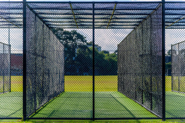 una práctica de cricket neto sobre verde hierba en melbourne, victoria, australia - sport of cricket practicing cricket player net fotografías e imágenes de stock