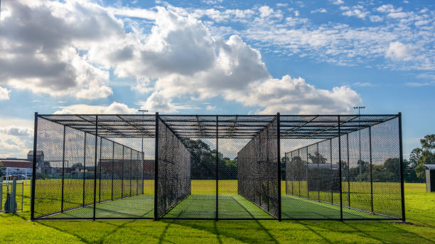 una práctica de cricket neto sobre verde hierba en melbourne, victoria, australia - sport of cricket practicing cricket player net fotografías e imágenes de stock