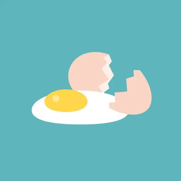 Vector illustration of broken egg icon, flat design vector
