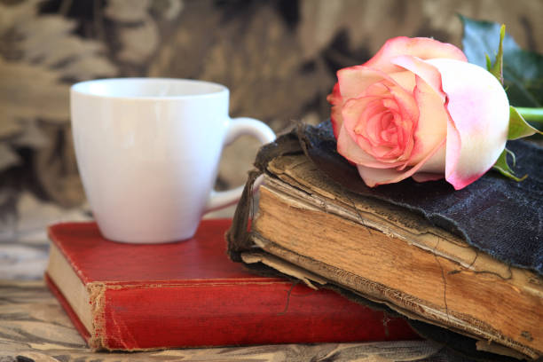 istock Old Bible and a Pink Rose 831995338