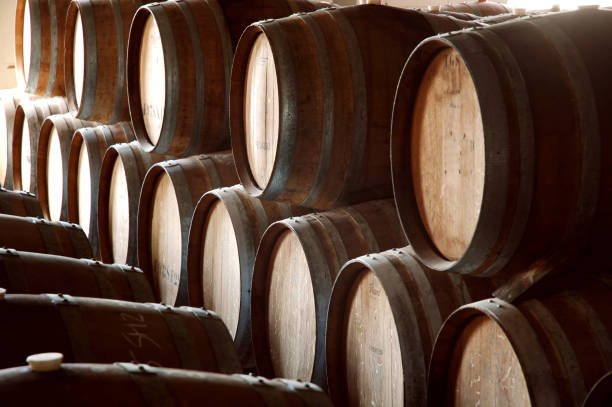 istock Photo of historical wine cellar and barrels 831997908