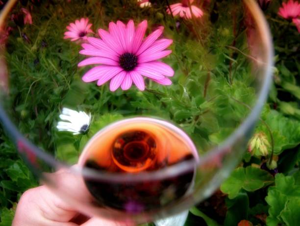Red Wine Glass in Spring garden