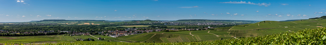 Panorama of the champagne vineyards near Epernay and Monthelon in France, Champagne-Ardenne.