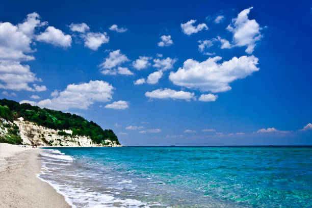 istock Paradise beach with clear water and blue sky 832019166