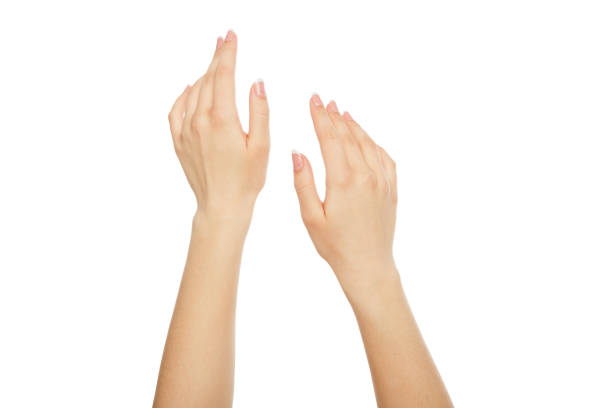 istock Woman's hands with french manicure, crop, cutout 832024946