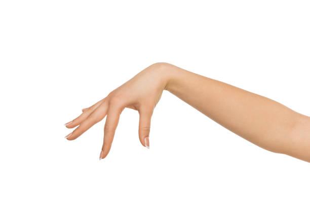 istock Female hand picking up something, cutout 832025084