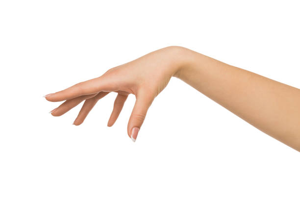 istock Female hand picking up something, cutout 832025786