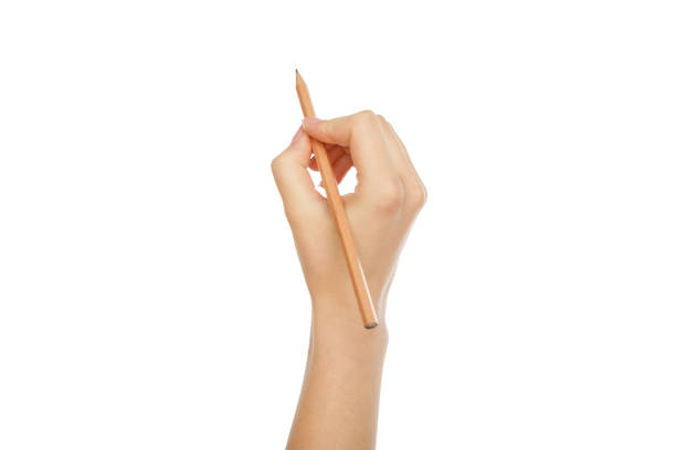 istock Woman's hand holding pencil, crop, cutout 832026318