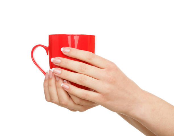istock Woman's hands holding a cup of tea, crop, cut out 832031752