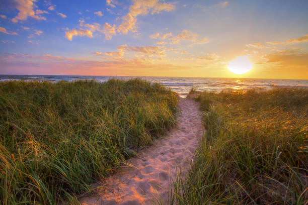 Sunset Beach Path Panoramic Background Sandy beach trail winds through dune grass to a sunset horizon on the shores of Lake Michigan in Hofffmaster State Park. waters edge stock pictures, royalty-free photos & images