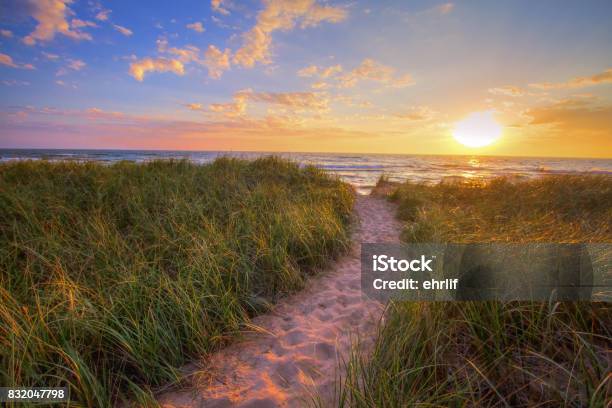 Sunset Beach Path Panoramic Background Stock Photo - Download Image Now - Michigan, Footpath, Beach
