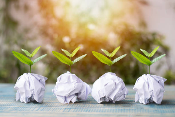 small tree grow up on paper recycle, concept as   save World environment day reforesting eco bio arbor CSR ESG ecosystems reforestation concept