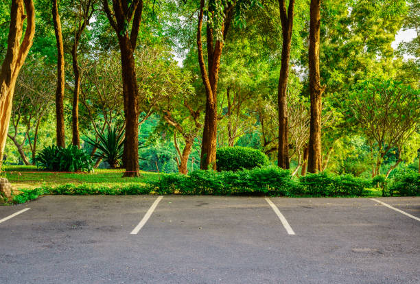 istock Parking Street In The forest 832049218