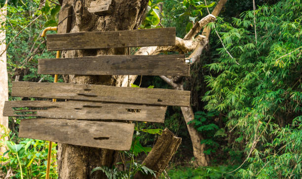 istock wood signage hang on the tree 832049706
