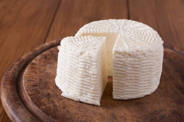 istock Cheese wheel, homemade indian paneer 832065278